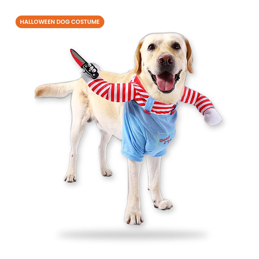 Halloween Dog Costume