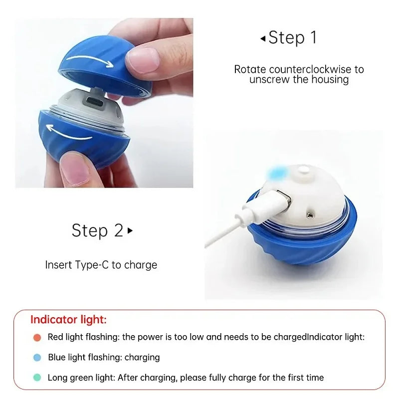 Treat Ball