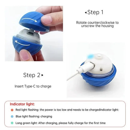 Treat Ball