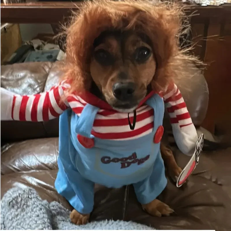 Chucky dog costume