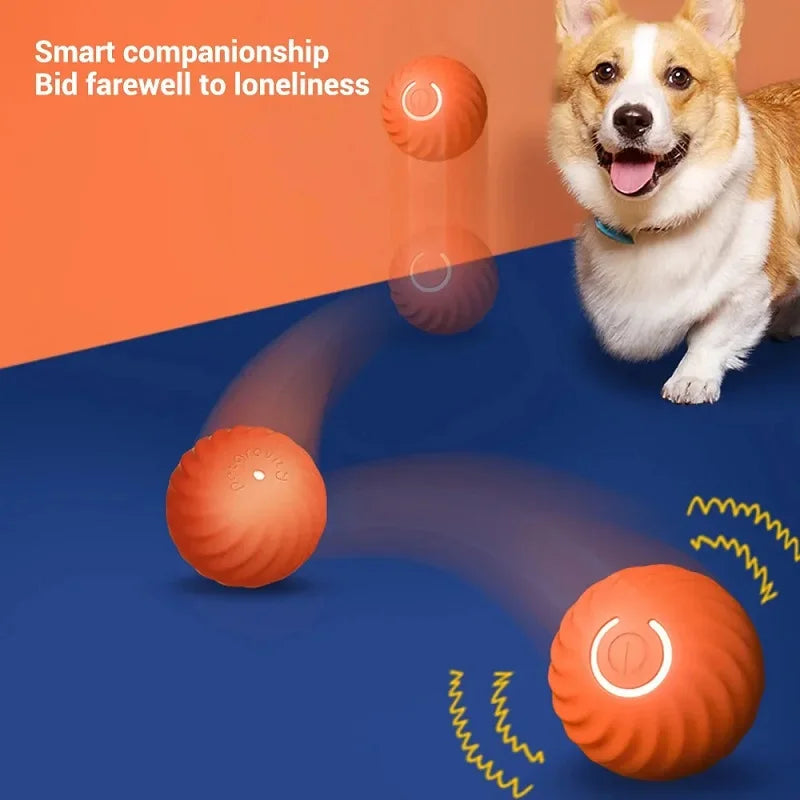 Treat Ball