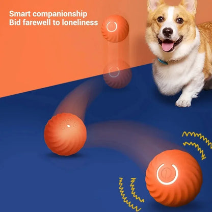 Treat Ball