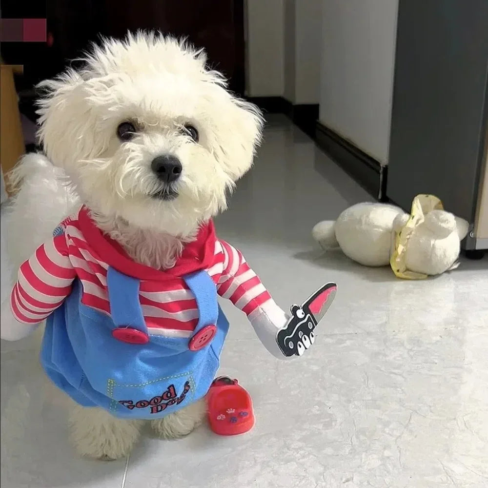 Halloween Dog Costume