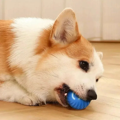 Treat Ball