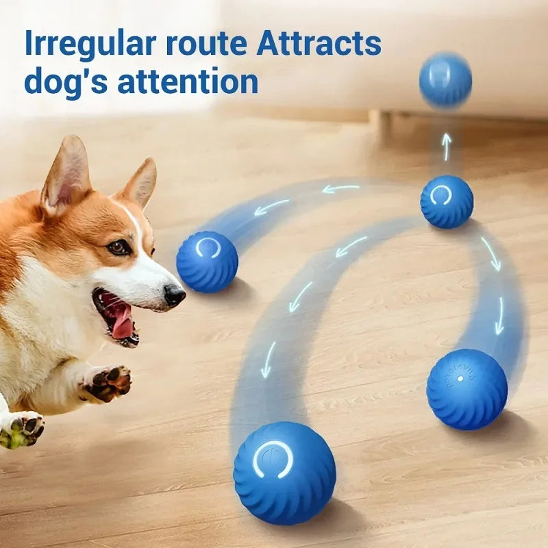Treat Ball