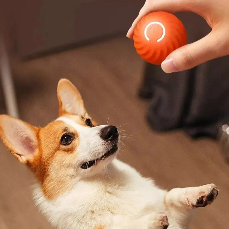 Treat Ball